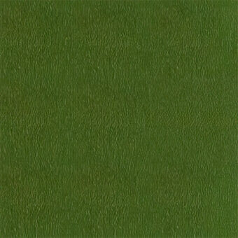Olive green leather texture with vertical grain, matte finish, and diffused lighting; egoitaliano carezza 558 leather sample.